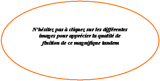 Ellipse: Nhsitez pas  cliquez sur les diffrentes images pour apprcier la qualit de 
 finition de ce magnifique tandem
